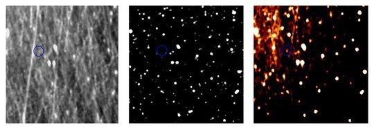 Nach sorgfältiger Bildbearbeitung zeigt sich der Zwergplanet Pluto in diesen Aufnahmen des Kamerasystems OSIRIS vom 12. Juli 2015. Links: Die unbearbeitete Aufnahme zeigt vor allem einen wahren Sandsturm aus Staubteilchen, durch den OSIRIS blickt. Mitte: Der Sternenhintergrund von Pluto. Rechts: Das bearbeitete Bild zeigt Pluto als hellen Fleck (hier angedeutet durch den blauen Kreis). <br /><br />
