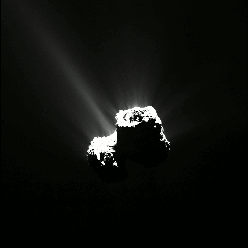ESA/Rosetta/MPS for OSIRIS Team MPS/UPD/LAM/IAA/SSO/INTA/UPM/DASP/IDA Kometenfeuerwerk: Diese Aufnahmen, die das wissenschaftliche Kamerasystem OSIRIS aus einer Entfernung von etwa 300 Kilometern aufgenommen hat, entstanden am 12. und 13. August 2015 (MESZ) nur wenige Stunden bevor der Komet 67P/Churyumov-Gerasimenko seinen sonnennächsten Punkt erreichte. Neben einem Strahlenkranz aus Staubfontänen ist um 19.35 Uhr (MESZ) ein besonders intensiver Aktivitätsausbruch zu sehen. <br /><br />