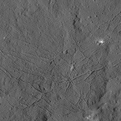 <p>Eine 35 mal 35 Kilometer große Detailaufnahme des Kraters Dantu (Durchmesser etwa 125 Kilometer), die ein dichtes Netzwerk von Brüchen zeigt.</p>