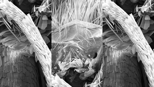 Videostill aus der Audio-Video-Installation SPACES