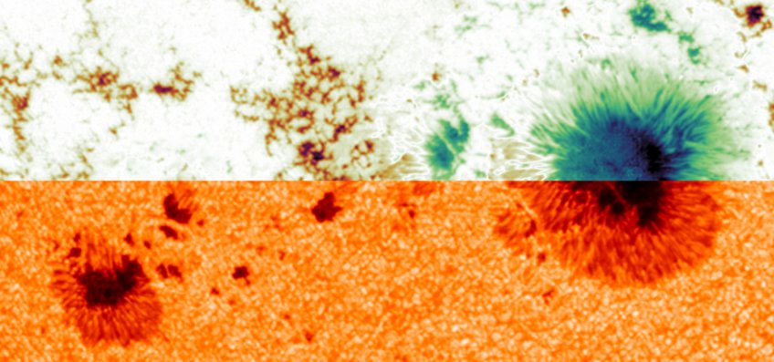 Continuum intensity and longitudinal magnetic field acquired by SO/PHI-HRT during the first Remote Sensing Window of the Solar Orbiter Mission