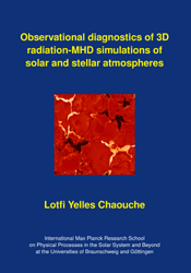 Dissertation_2008_Yelles_Chaouche__Lotfi