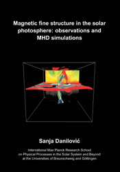 Dissertation_2009_Danilovic__Sanja