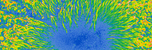 Magnetfeldkarte eines Sonnenflecks. Energietransport im Inneren eines Sonnenflecks. ERC Advanced Grant SOLMAG untersucht Magnetfeld der Sonne.