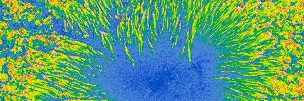 Magnetic field map of a sunspot. Energy transport in a sunspot. ERC Advanced Grant SOLMAG studies solar magnetic field.
