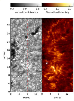 Die sichtbare Oberfläche der Sonne (linke Bildhälfte) zeigt ein Muster aus so genannten Granulen. Sie sind Anzeichen der heißen Plasmaströme aus dem Inneren der Sonne, die aufsteigen, abkühlen und wieder hinabsinken. Im ultravioletten Licht dieser Region zeigen sich hingegen langgezogene Fibrillen (rechte Bildhälfte). <br /><br />