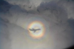 Eine Glorie auf der Erde: Farbige, konzentrische Kreise umgeben den Schatten des Flugzeuges und muten wie ein ringförmiger Regenbogen an.