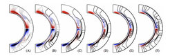 Poloidal field lines and toroidal field (blue/red) for cycle 19from a flux transport simulation including magnetic pumping andcycle-dependent sunspot group tilt angles.