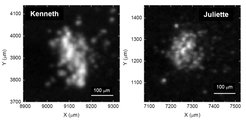 Mikroskopische Bilder der beiden Staubkörner Kenneth und Juliette, welche in der Koma des Kometen 67P/Churyumov-Gerasimenko von dem Instrument COSIMA an Board der ROSETTA-Sonde im Mai und Oktober 2015 aufgesammelt und analysiert wurden.