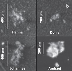 Individual dust grains from comet 67P collected and photographed by the Rosetta/COSIMA instrument. The four panels show the morphological diversity of the comet dust, including both compact particles (“Andrzej”) and agglomerates (Hilchenbach et al., 2016).