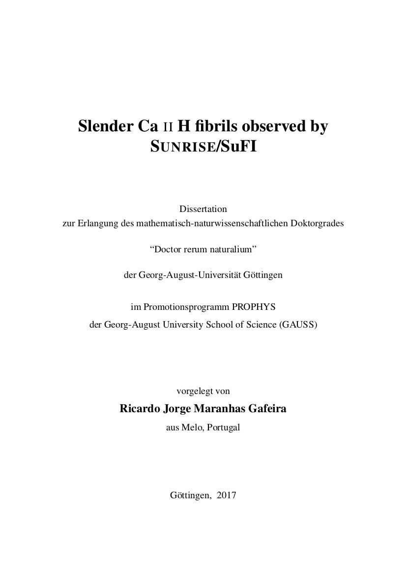 Dissertation 2017 Ricardo Gafeira