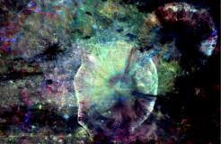 Der Marcia Krater auf dem Asteroiden Vesta in Falschfarbendarstellung. Die Kameradaten zeigen innerhalb des Kraters sowohl Material aus der Kruste von Vesta (grünlich), als auch sehr kohlenstoffreiches Material (dunkel), das wahrscheinlich durch den Einschlag eingetragen wurde.