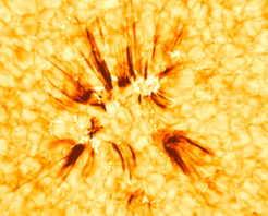 In the Sun's chromosphere, spicules can be seen as elongated, finger-like structures. Typically, they are 5000 kilometers long and only approximately 200 kilometers wide.