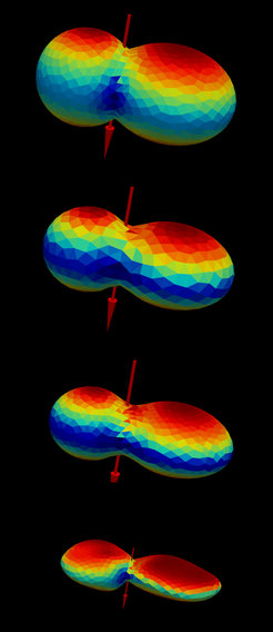 Snapshots from numerical simulation of shape evolution of Arrokoth’s analogue due to sublimation driven mass loss. The bottom most shape is a digital terrain model derived from New Horizon observations. The color represents single orbit averaged temperatures. Red stands for warm and blue for cooler regions.