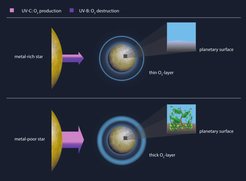 Figure. Schematic illustration of the impact of different stellar UV radiation levels on the thickness of the ozone layer and the UV radiation level on the planetary surface.