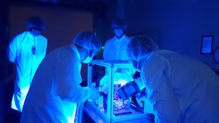 Bevor das Instrument verpackt werden kann, sucht das SWI-Team nach Verunreinigungen. Im ultravioletten Licht werden kleinste Partikel sichtbar.