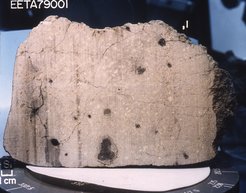 Martian meteorite Elephant Moraine (EETA) 79001