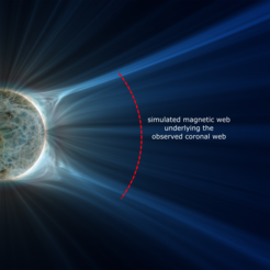 Computer simulation of the architecture of the magnetic field in the middle corona on August 17, 2018. The ray-like features in this snapshot are the underlying magnetic architecture of the observed coronal web. In the middle corona the predominantly closed magnetic field lines close to the Sun give way to the predominantly open field lines of the outer corona.