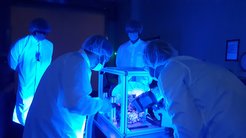Kurz vor der Auslieferung von SWI nach Toulouse 2021 prüfen die wissenschaftlich-technischen Teams am MPS im ultravioletten Licht, dass keinerlei Staubteilchen das Instrument verunreinigen.