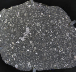 Cross-section of the carbonaceous chondrite “Allende”, which fell over Mexico in 1969. Round and irregularly shaped inclusions are clearly visible.